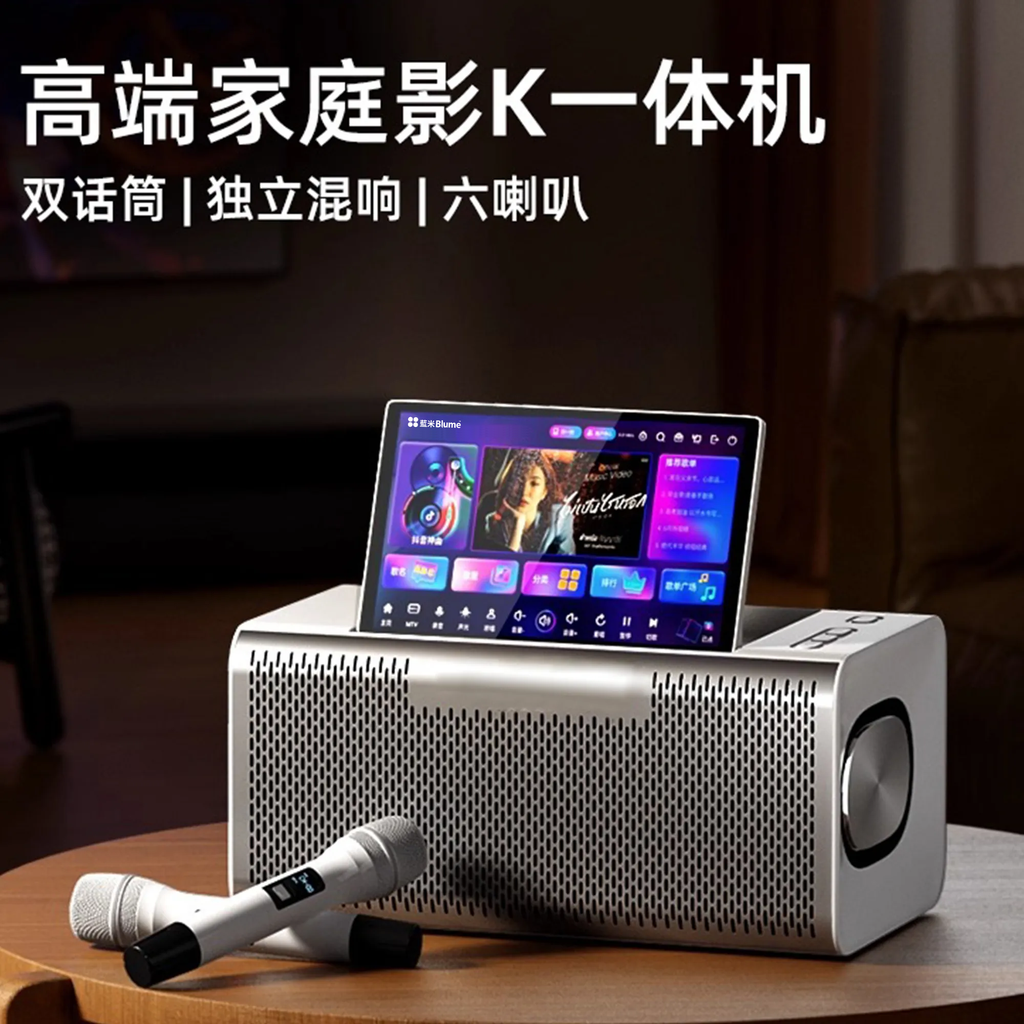 Blume 6-in-1 MAX Karaoke System | All-in-One Home KTV with HD Screen & Dual Wireless Mic